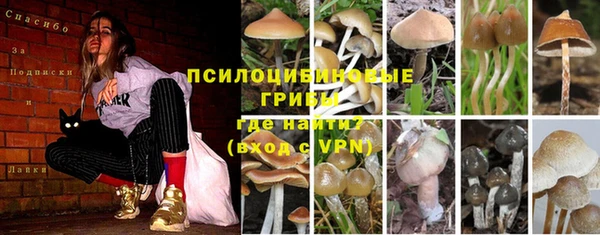 спайс Армянск
